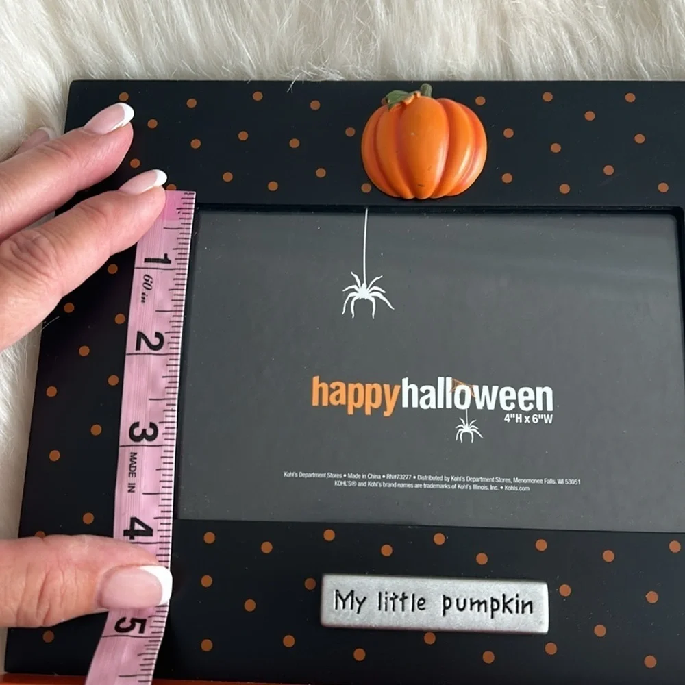 Halloween picture frame and spider decoration